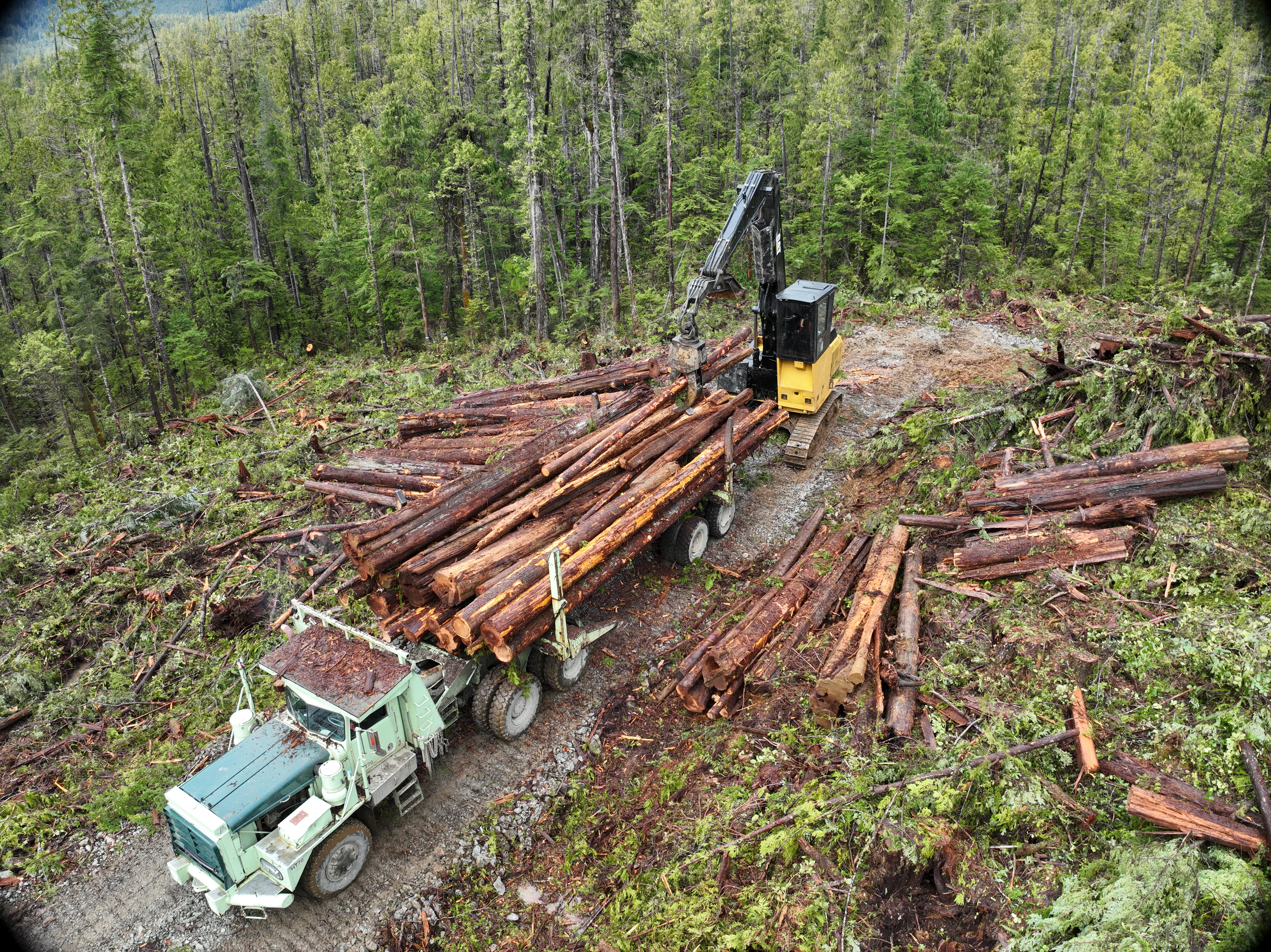 Cleared land