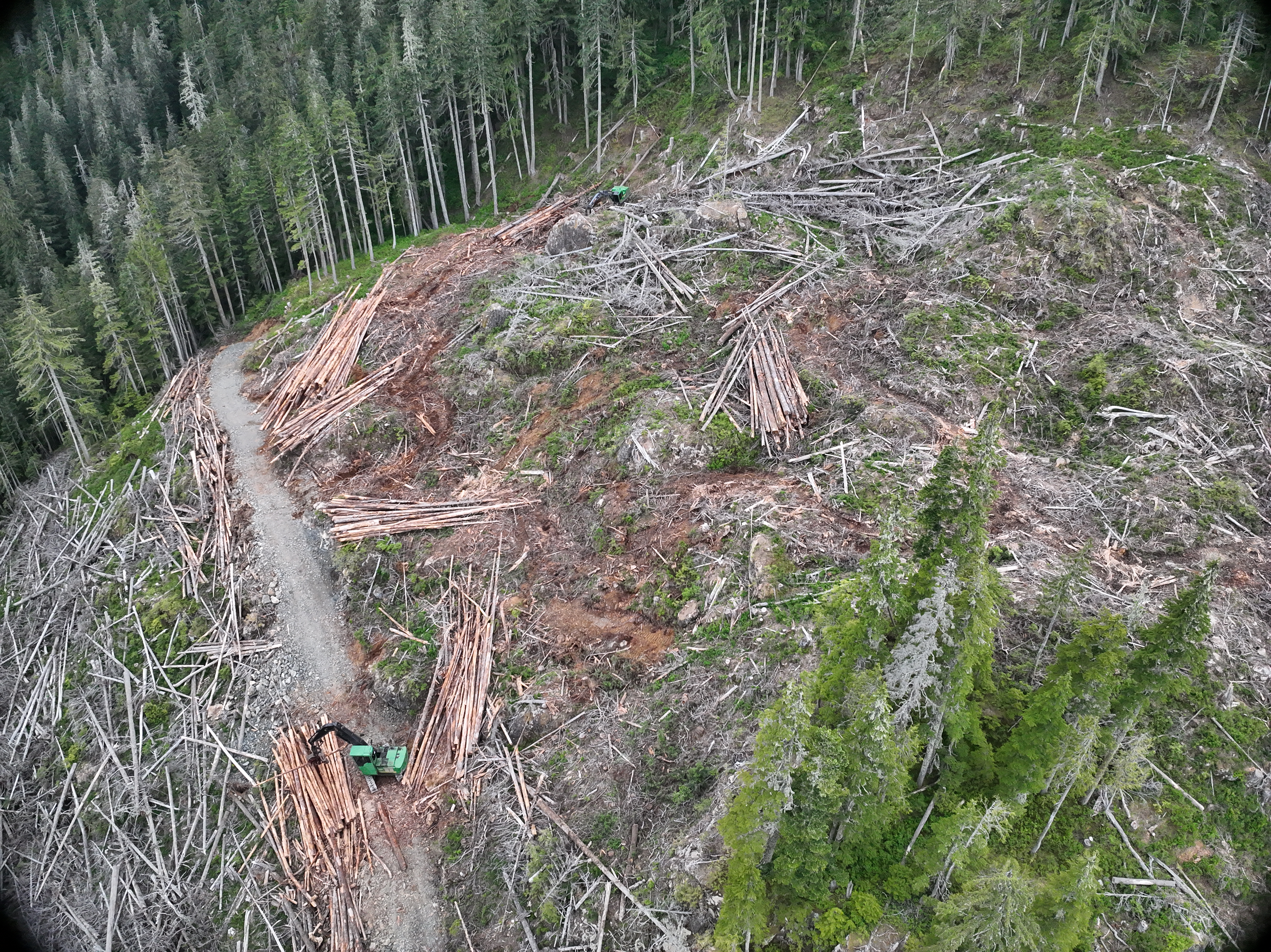 Logging work